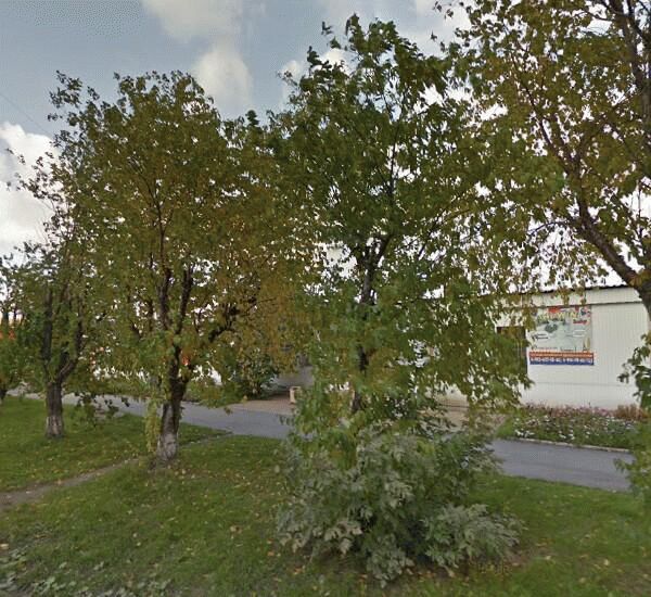 Банкомат СКБ-Банка по адресу ул. Комсомольская, д. 71, ОАО «Химпродукция»